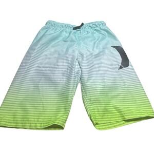 Hurley  Ombre Green Swim Shorts youth 14/16